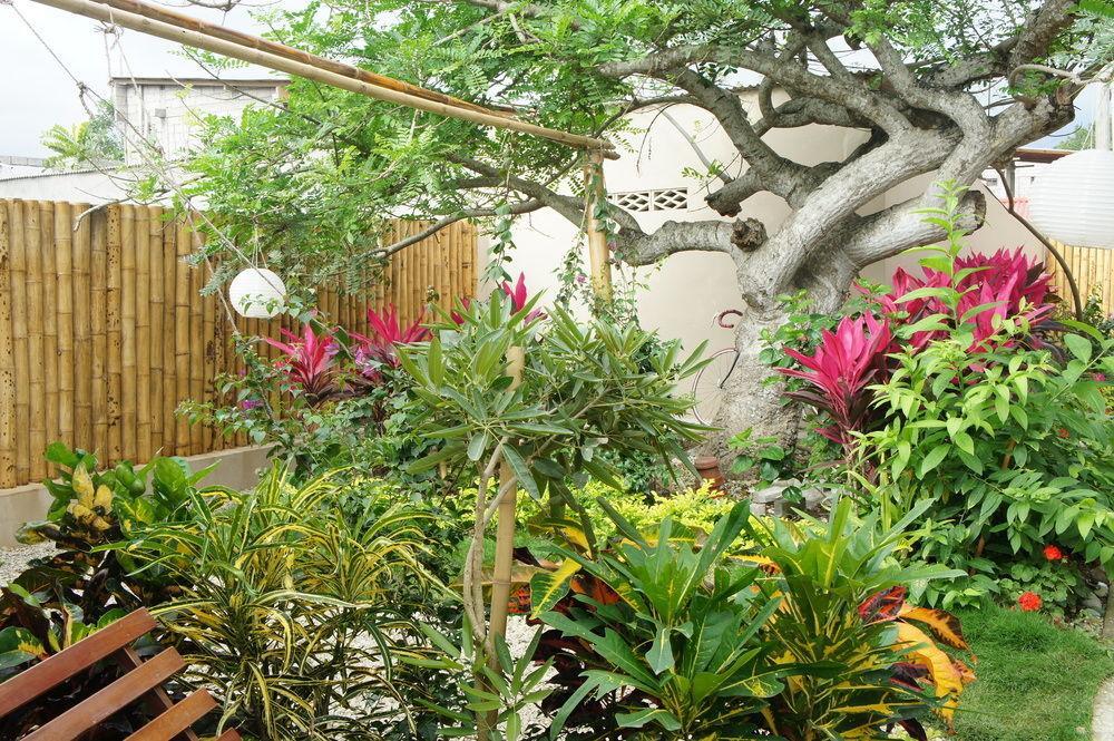 Rincon D'Olon Boutique Hotel מראה חיצוני תמונה